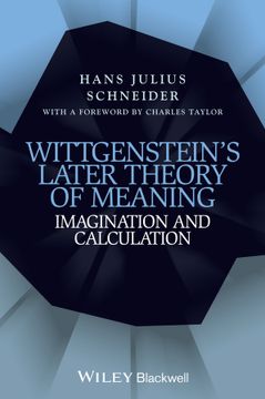 portada Wittgenstein`S Later Theory Of Meaning: Imagination And Calculation