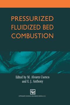portada Pressurized Fluidized Bed Combustion (in English)