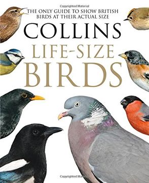 portada Collins Life-Size Birds
