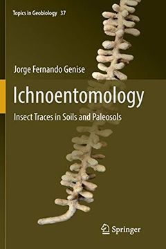 portada Ichnoentomology: Insect Traces in Soils and Paleosols: 37 (Topics in Geobiology) (en Inglés)