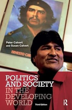 portada Politics and Society in the Developing World (en Inglés)