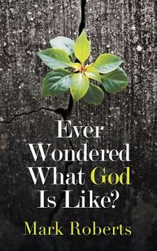 portada Ever Wondered What God Is Like? (en Inglés)