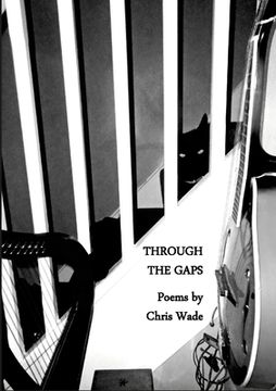 portada Through the Gaps (in English)