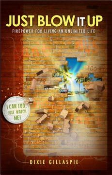 just blow it up: firepower for living an unlimited life (en Inglés)