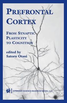portada prefrontal cortex: from synaptic plasticity to cognition (en Inglés)