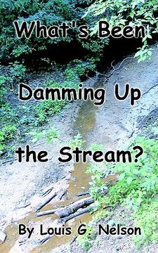 portada what's been damming up the stream? (in English)