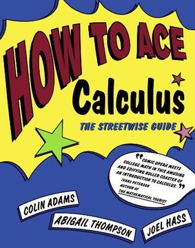 portada How to ace Calculus: The Streetwise Guide 