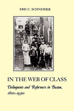 portada In the web of Class: Delinquents and Reformers in Boston, 1810S-1930S (The American Social Experience) (in English)