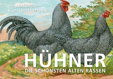portada Postkarten-Set Hühner (en Alemán)