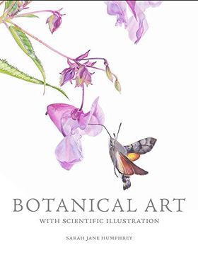 portada Botanical art With Scientific Illustration (en Inglés)