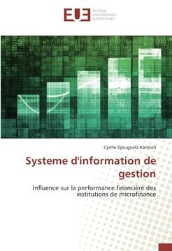 portada Systeme d'information de gestion: Influence sur la performance financière des institutions de microfinance