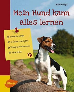 portada Mein Hund Kann Alles Lernen: Stubenrein Werden, an Lockerer Leine Gehen, Freudig Zurückkommen, Alleine Bleiben (en Alemán)