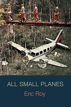 portada All Small Planes (in English)