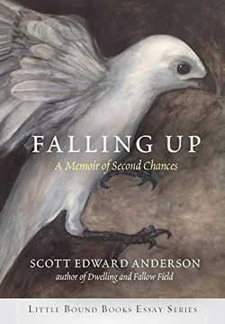 portada Falling up: A Memoir of Second Chances (Little Bound Books Essay) (in English)