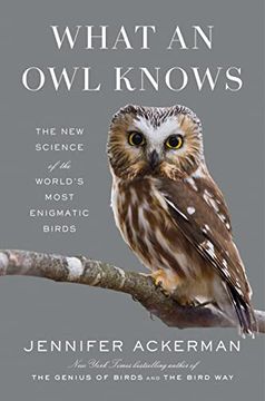 portada What an owl Knows: The new Science of the World's Most Enigmatic Birds (in English)