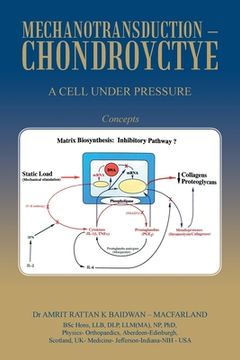 portada Mechanotransduction - Chondroyctye: A Cell Under Pressure (in English)