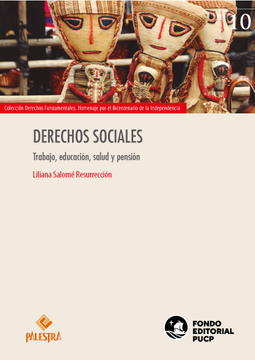 portada Derechos sociales (in Spanish)