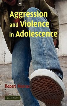 portada Aggression and Violence in Adolescence (in English)