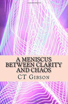portada A Meniscus Between Clarity and Chaos: The Teachings of Spirit and the sun Magician (en Inglés)