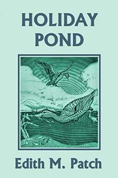 portada Holiday Pond (Yesterday's Classics) (en Inglés)