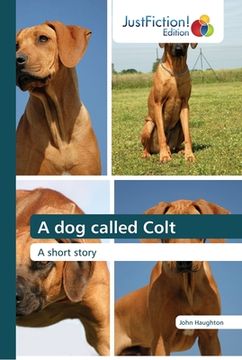 portada A dog called Colt (en Inglés)