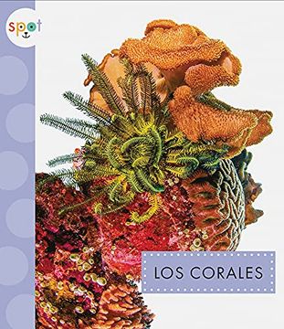 portada Los Corales