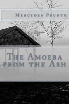 portada The Amoeba from the Ash