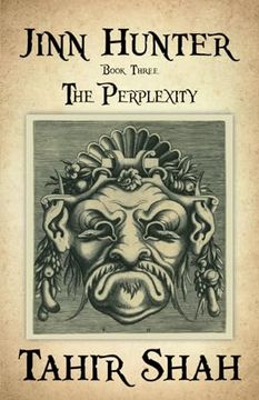 portada Jinn Hunter: Book Three: The Perplexity (en Inglés)