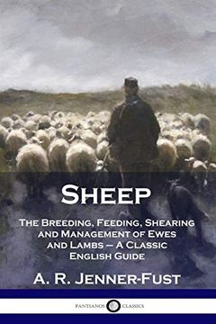 portada Sheep: The Breeding, Feeding, Shearing and Management of Ewes and Lambs - a Classic English Guide (en Inglés)