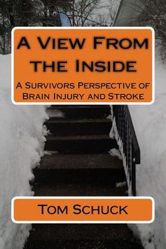 portada A View From the Inside: A Survivors Perspective of Brain Injury and Stroke (in English)