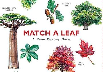 portada Match a Leaf: A Tree Memory Game (in English)