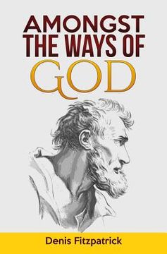 portada Amongst the Ways of God