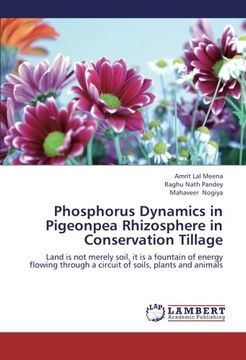portada Phosphorus Dynamics in Pigeonpea Rhizosphere in Conservation Tillage: Land is not merely soil, it is a fountain of energy flowing through a circuit of soils, plants and animals
