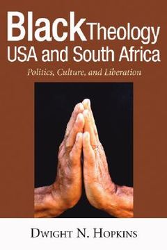 portada black theology usa and south africa: politics, culture, and liberation (in English)