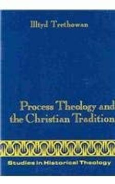 portada Process Theology and the Christian Tradition: Process Theology and the Christian Tradition v. 5 (Studies in Historical Theology) (en Inglés)
