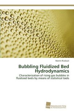 portada bubbling fluidized bed hydrodynamics (en Inglés)