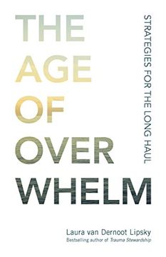 portada The age of Overwhelm: Strategies for the Long Haul 