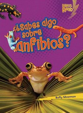portada sabes algo sobre anfibios = do you know about amphibians? (en Inglés)