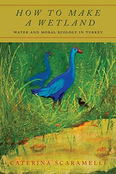 portada How to Make a Wetland: Water and Moral Ecology in Turkey
