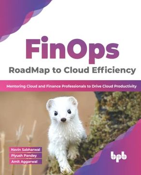 portada Finops: Roadmap to Cloud Efficiency: Mentoring Cloud and Finance Professionals to Drive Cloud Productivity (English Edition)
