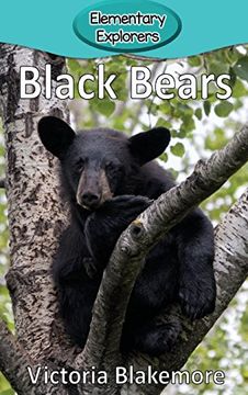 portada Black Bears (Elementary Explorers)