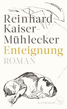 portada Enteignung: Roman (en Alemán)
