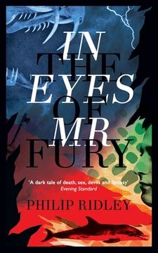 portada In the Eyes of Mr Fury (en Inglés)
