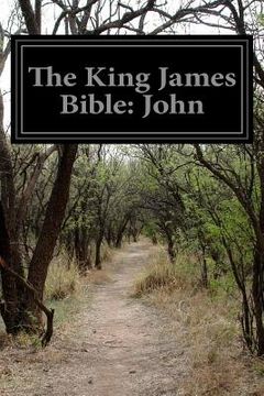 portada The King James Bible: John (in English)