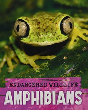 portada Endangered Wildlife: Rescuing Amphibians (en Inglés)