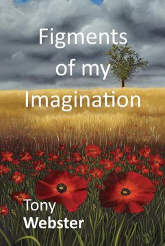 portada Figments of my Imagination (en Inglés)