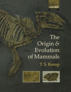 portada The Origin and Evolution of Mammals (en Inglés)