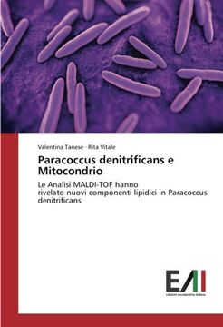 portada Paracoccus denitrificans e Mitocondrio: Le Analisi MALDI-TOF hanno rivelato nuovi componenti lipidici in Paracoccus denitrificans (Italian Edition)