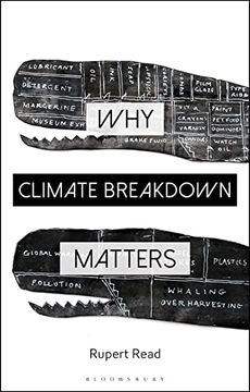 portada Why Climate Breakdown Matters (Why Philosophy Matters) (en Inglés)