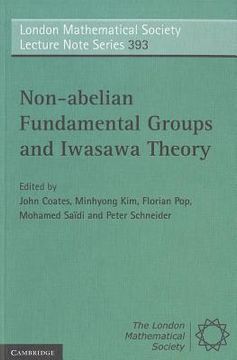 portada non-abelian fundamental groups and iwasawa theory